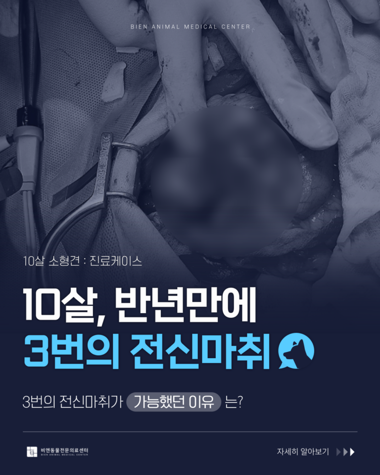 [마취+외과 진료 케이스]