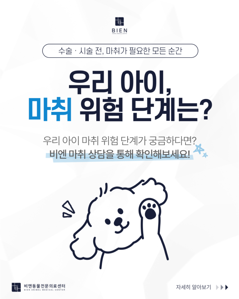 마취위험단계는