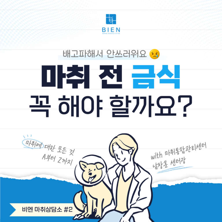 마취 전 금식, 꼭 해야 할까요?