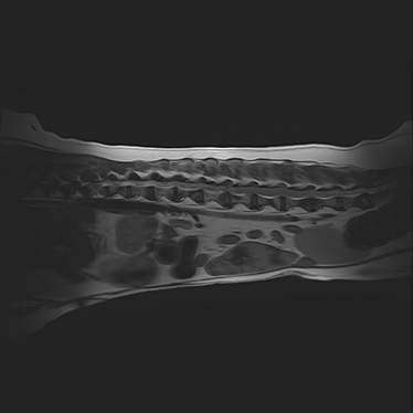 ctmri-g005