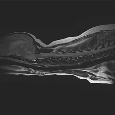 ctmri-g007