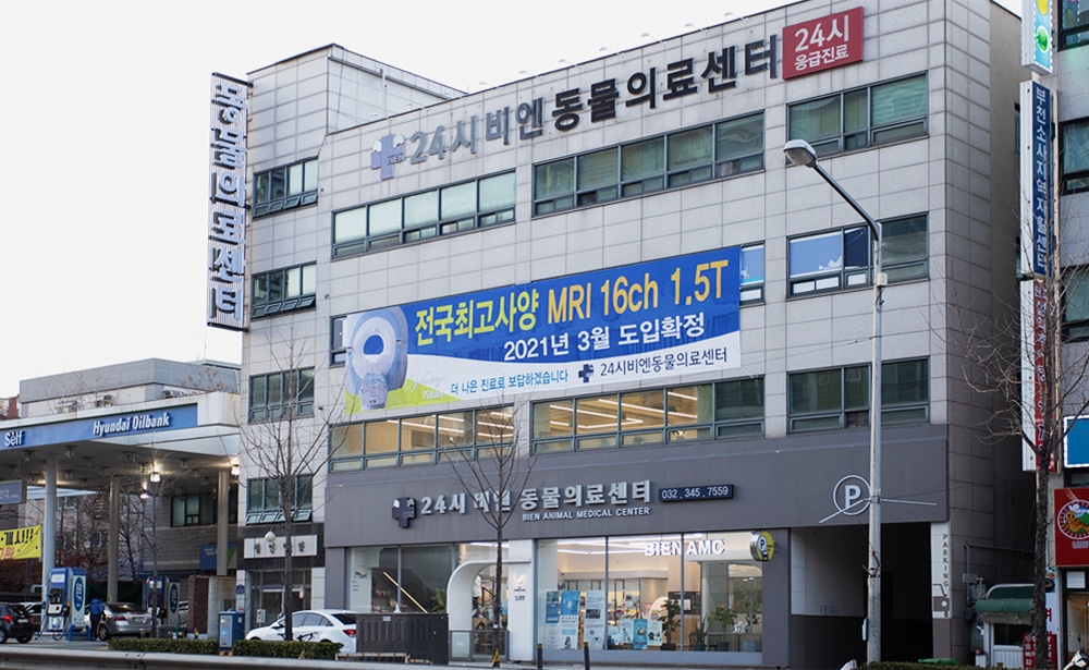 개원