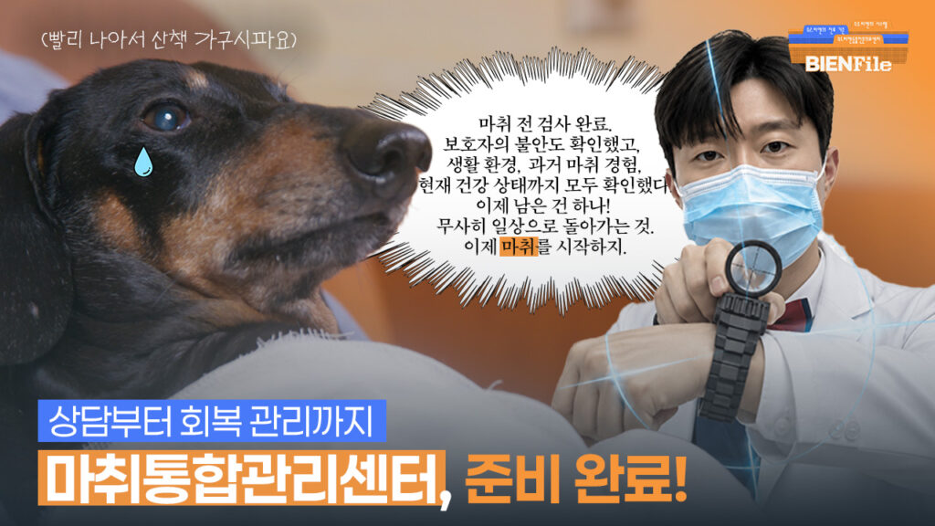 상담부터 회복까지 맞춤 마취의 시작 | BIENFile📂