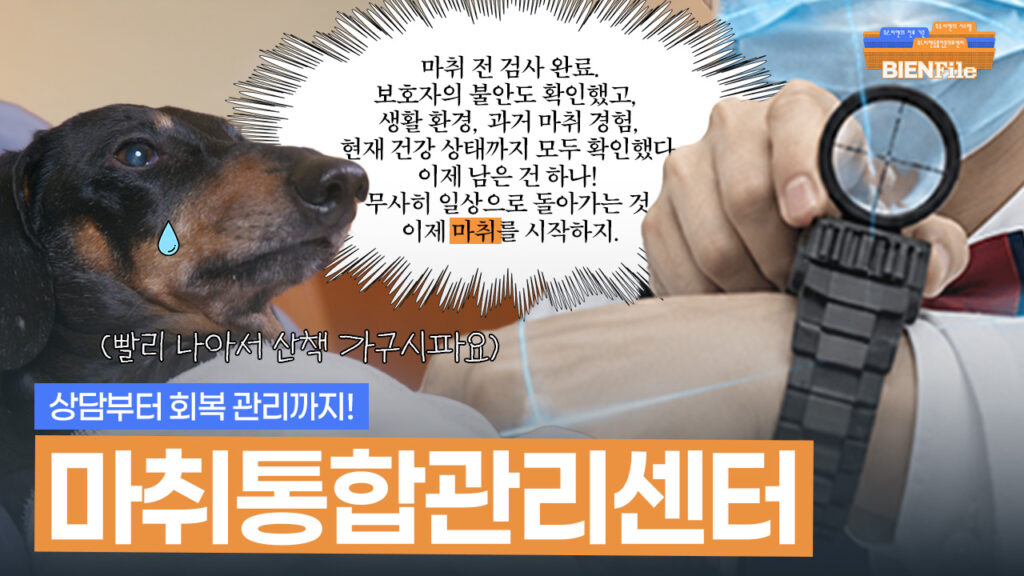 우리 아이가 마취를 앞두고 있는데, 내가 더 두렵다면?｜BIENFile📂