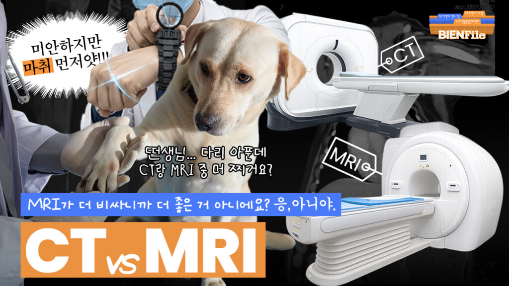 우리 아이에게 CT가 필요할까, MRI가 필요할까? | BIENFile📂