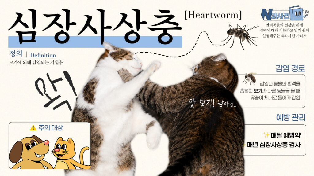 심장사상충, 어디까지 알고 계신가요? | N과사전📖]