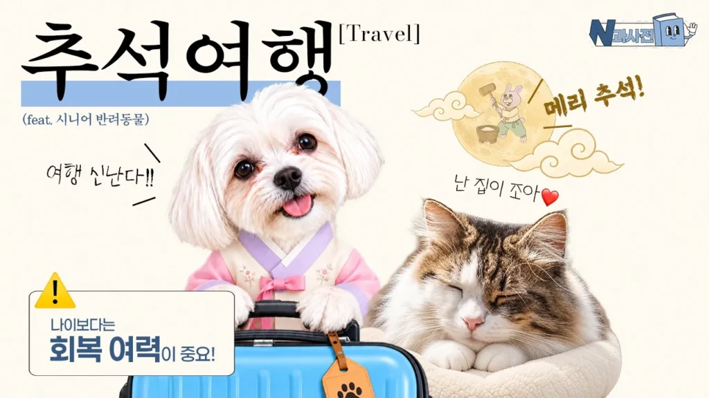 🍂추석연휴, 시니어 반려동물과 함께 여행가기 | N과사전📖
