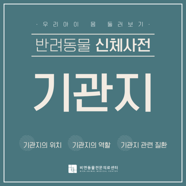 기관지