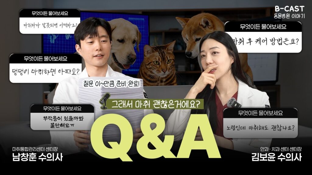 보호자님들을 위해 준비한 마취 Q&A⁉️ [B-CAST] 3화 | 마취통합관리센터 센터장 남창훈 3부