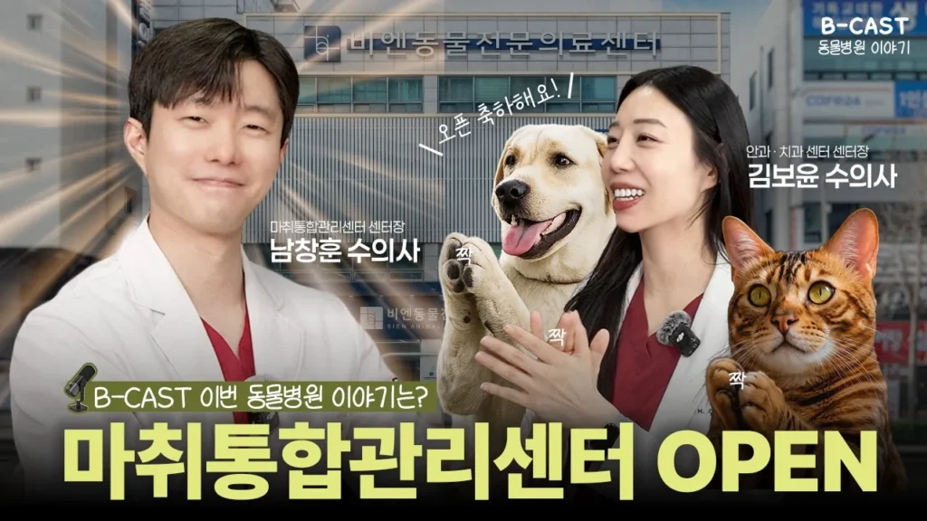 수술보다 더 무서운 마취😱 보호자들이 꼭 알아야 할 이야기‼️ 그리고 비엔동물전문의료센터 마취통증관리센터 확장 오픈✨ [B-CAST] 3화 | 마취통합관리센터 센터장 남창훈 1부