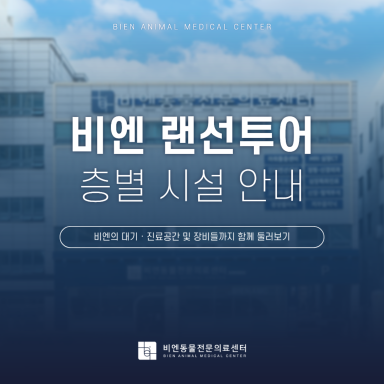 랜선투어