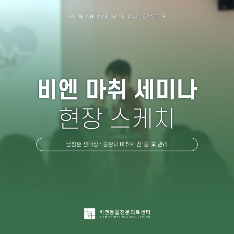 마취세미나 현장스케치