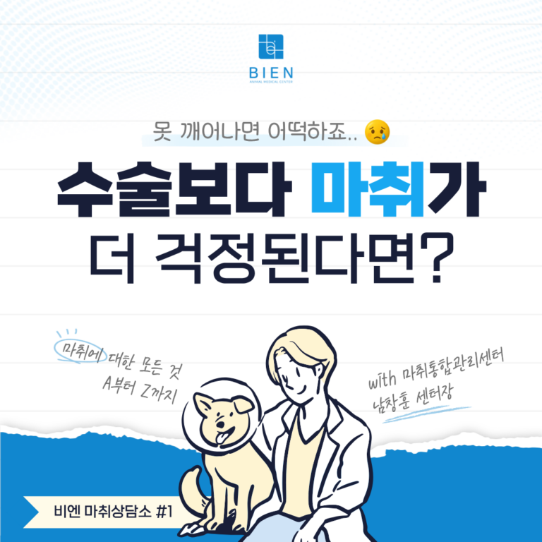수술보다 마취가 더 걱정된다면