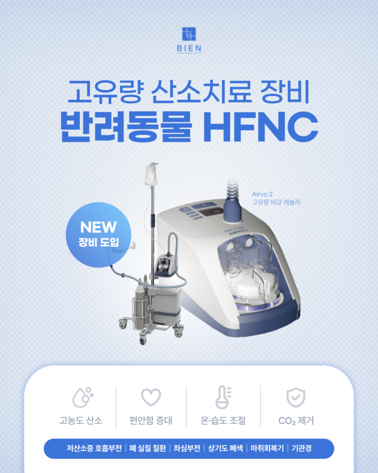 에어보
